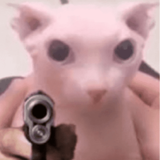 Gatinhos estressados 1