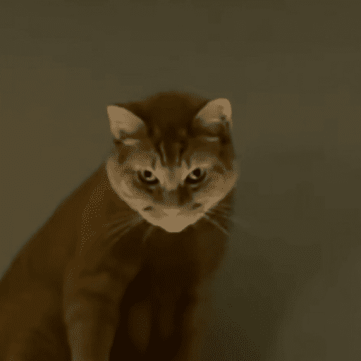 Gatinhos estressados 9