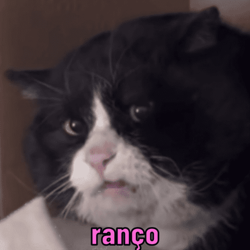 Gatinhos estressados 28