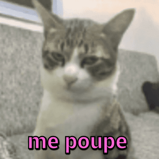 Gatinhos estressados 23