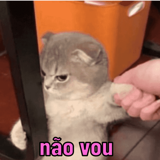 Gatinhos estressados 26