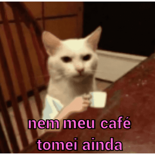 Gatinhos estressados 22