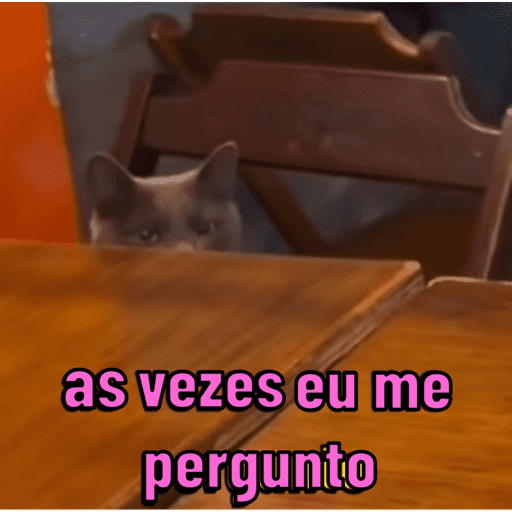 Gatinhos estressados 18