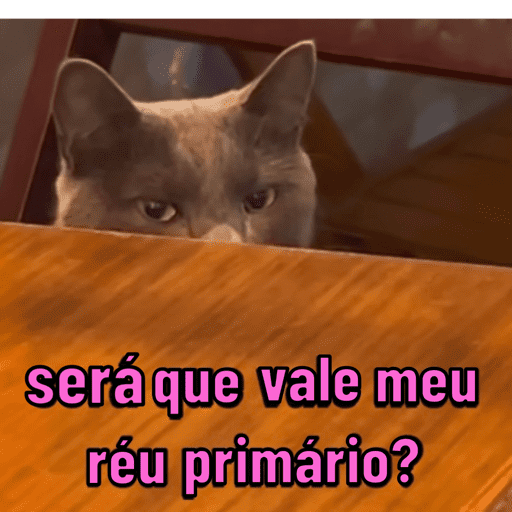 Gatinhos estressados 19