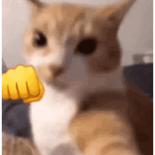 Gatinhos estressados 2