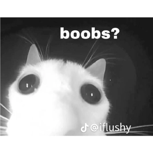 Sleepy  na pussy 7