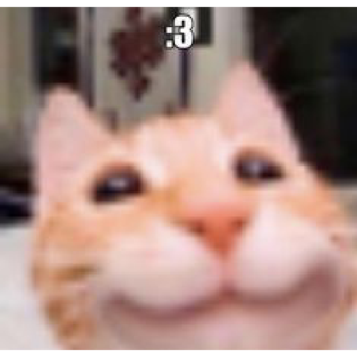 Sleepy  na pussy 23