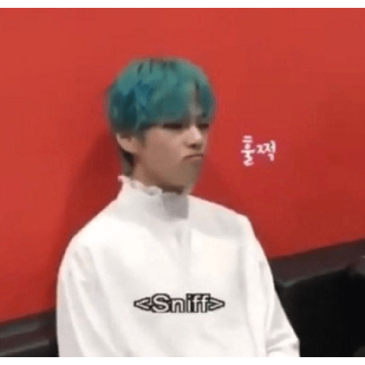 Bangtan 24