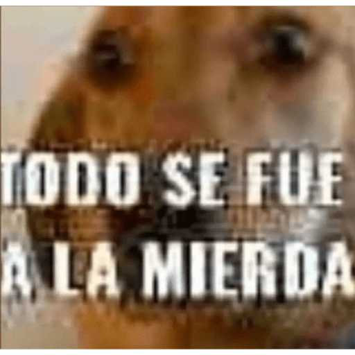 Tilina y potaxia 22