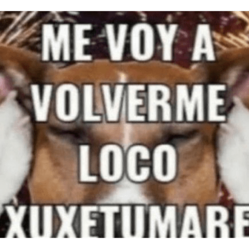 Tilina y potaxia 20