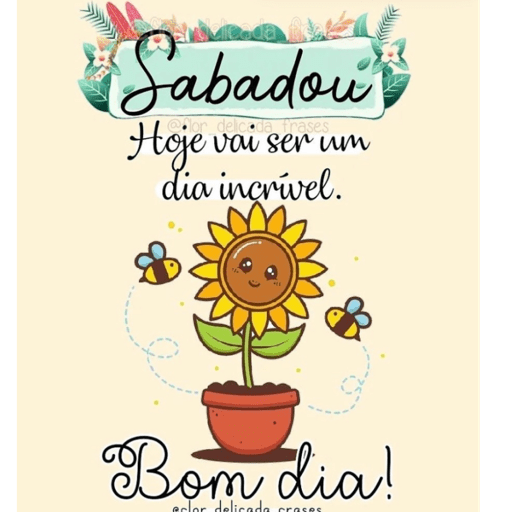 Novo pack🌹 6