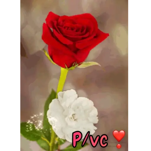 Animada pelas animadas❣️ 6