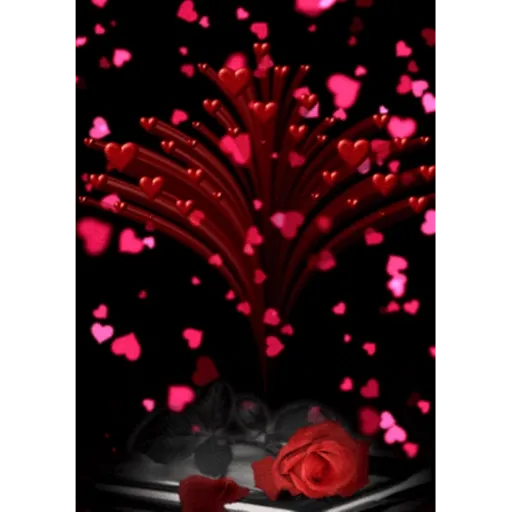 Animada pelas animadas❣️ 28