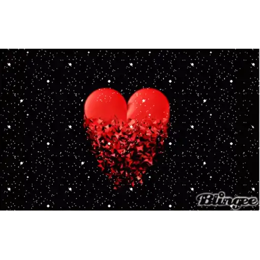 Animada pelas animadas❣️ 14