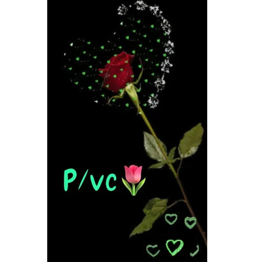 Animada pelas animadas❣️ 29