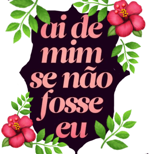 Novo 🤩 24