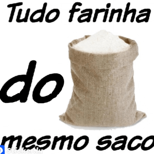 Novo 🤩 11