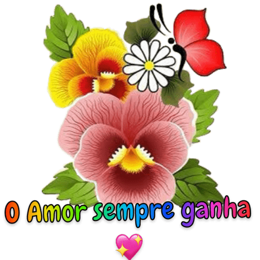 Novo 🤩 26