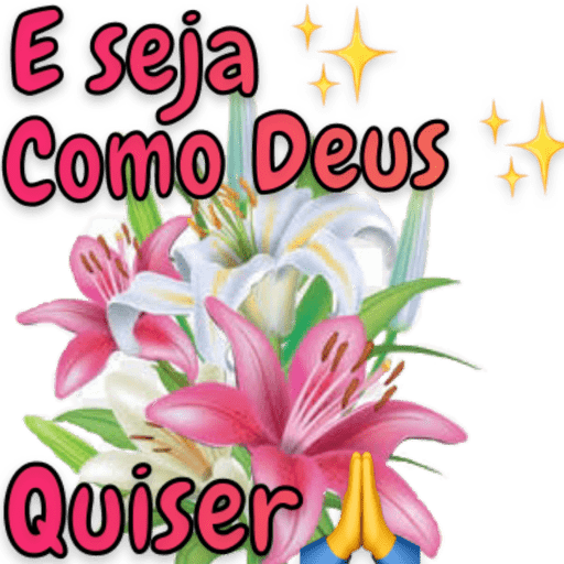 ✌️Novo Pacote 👍 5