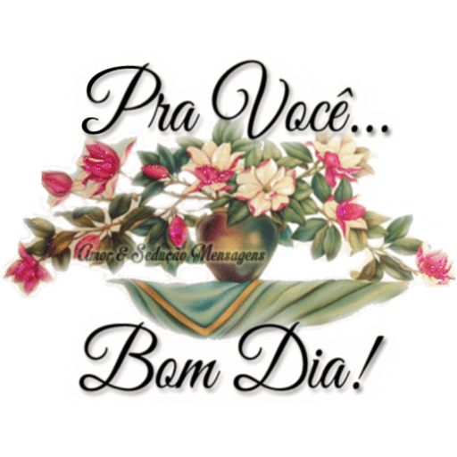 ✌️Novo Pacote 👍 27