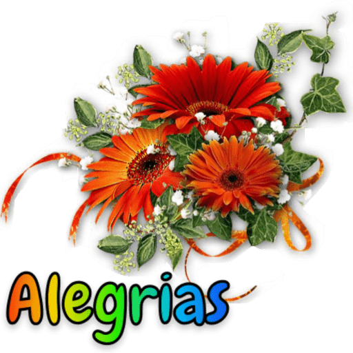 Continuando🌷 14