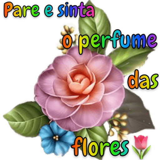 Continuando🌷 4