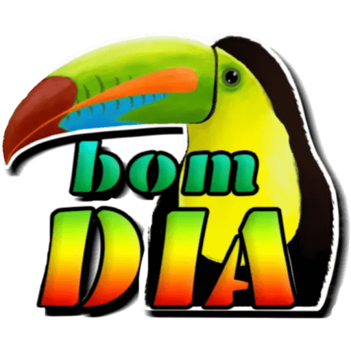 Já 🍃 13