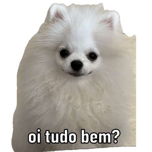 Minhas 16