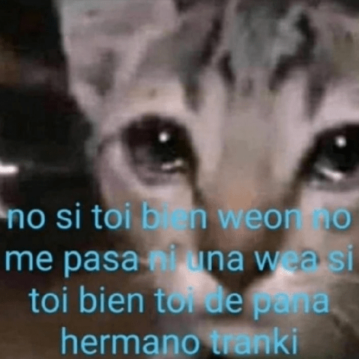 Super momasos 2