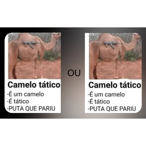 Eita Porra Krl Bct me dê 20