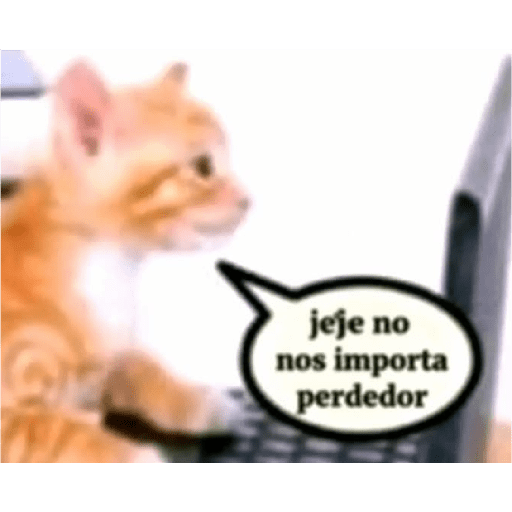 Ñose 8