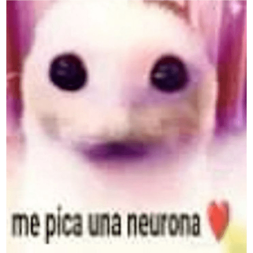 Ñose 2