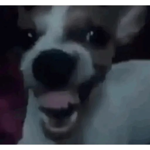 Jajajayomendes 8