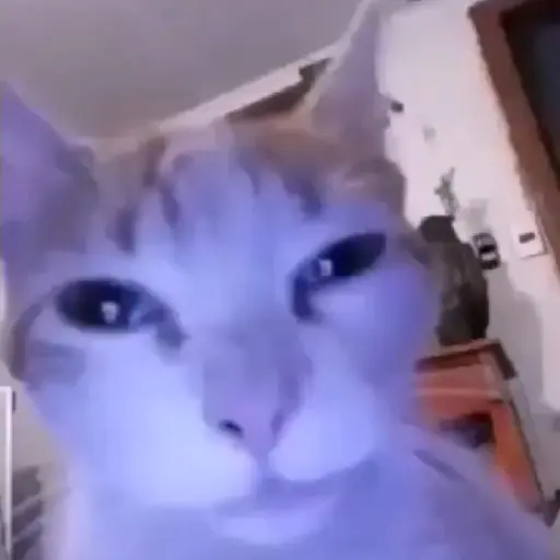 dou 2