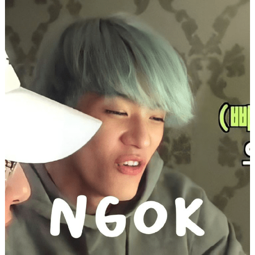 Random kpop meme 16