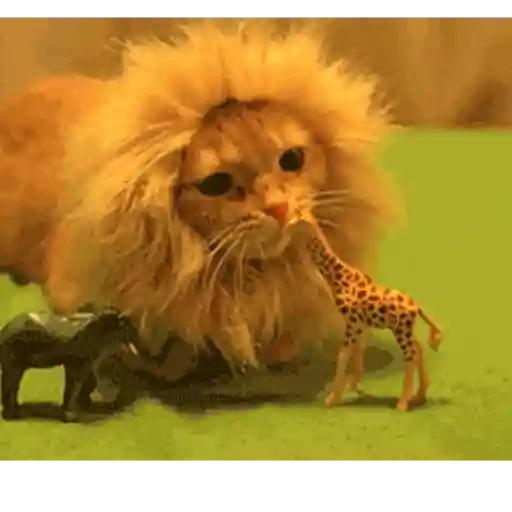 Animalia