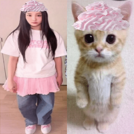 ෛ🎀 Kpop random ♡@little.danito 1