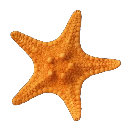 Makanan Musim Panas ˖°𓇼🌊⋆🐚🫧 20