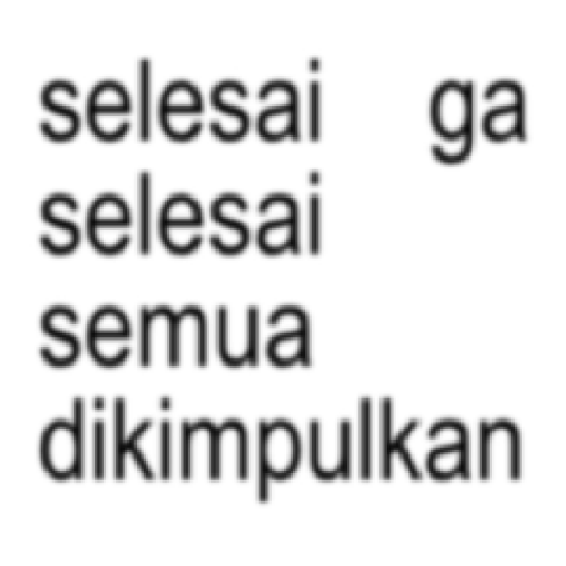 Kata kata Kimpul viral TikTok 6