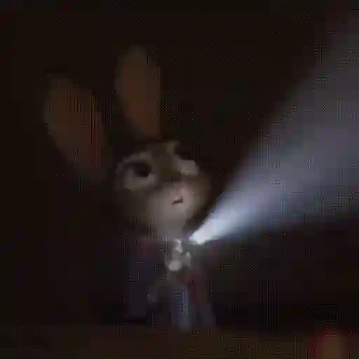 Zootopia Judy Hopps #3 7