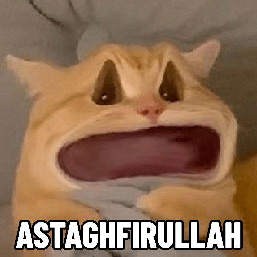Meme 1.1