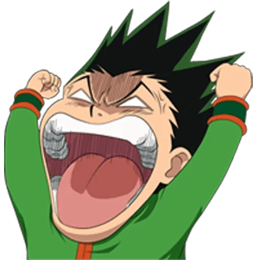 Hunter X Hunter #2