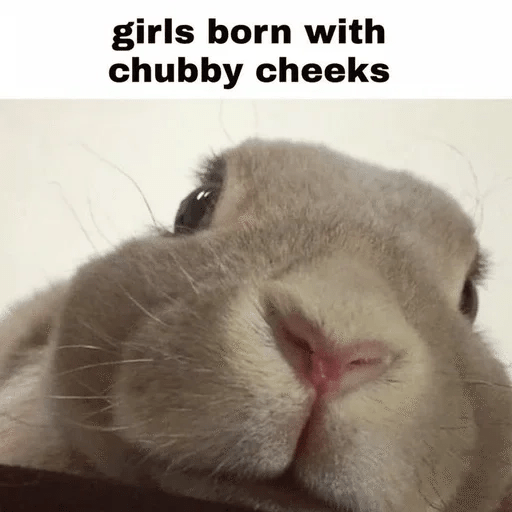 Cute rabbit🐇