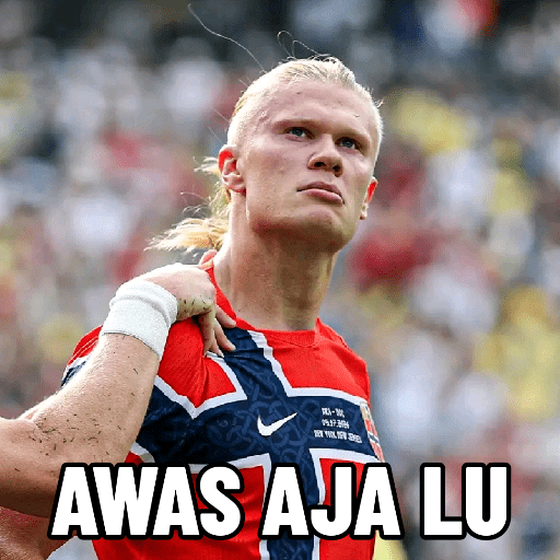 Haaland 11