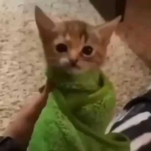 สติกเกอร์