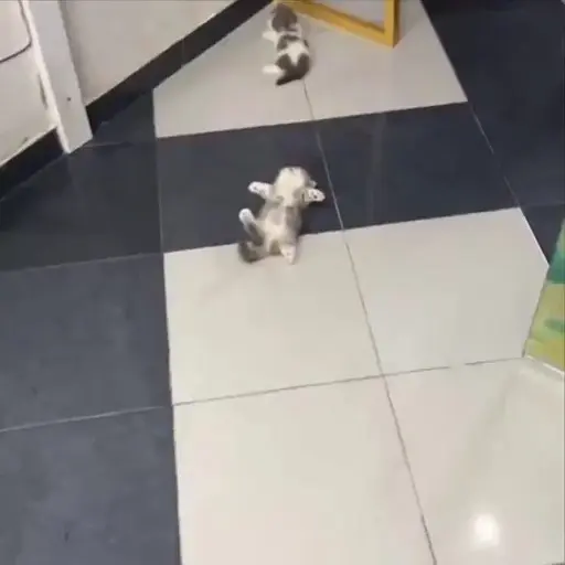 สติกเกอร์