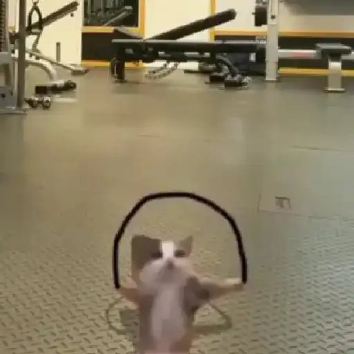 สติกเกอร์