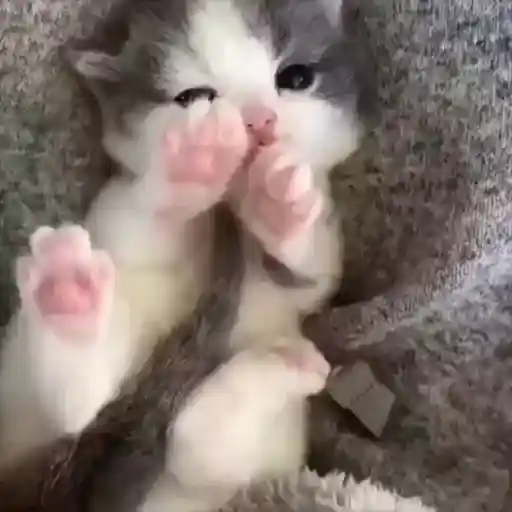 สติกเกอร์