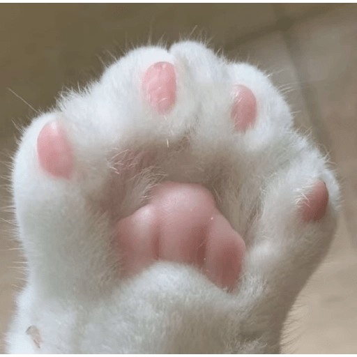 Pookie Cute Animal #2