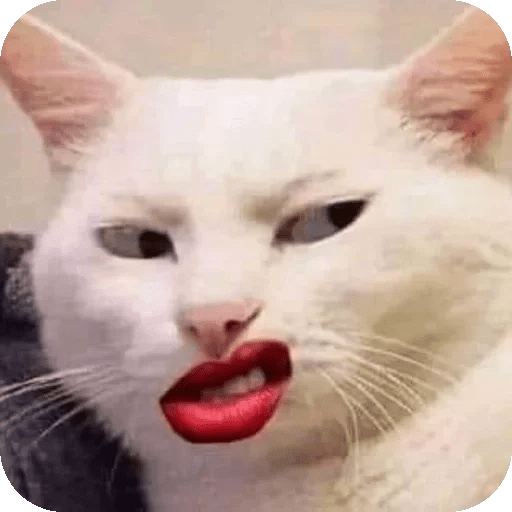 Reaction Girl TikTok  19